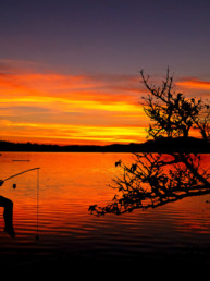kids fishing lake wedowee